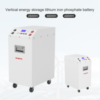 10KWHPortable énergie solaire 48v 200Ah/250ah/300ah/400ah batterie lithium-ion photovoltaïque LiFePO4 pour batteries de système d'énergie solaire