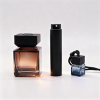 Bouteille vide en verre dépoli pour diffuseur à bâtonnets 50ml 100ml 150ml 200ml