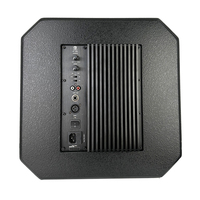 Module amplificateur de caisson de basses actif 12 "Module amplificateur de puissance de haute qualité
