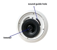 Haut-parleur coaxial de 30 W 6 pouces 15 V/2 A Haut-parleur actif ABS Haut-parleur de plafond avec Bluetooth USB Vente directe d'usine OEM ODM