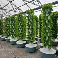 Système de Tour Hydroponique Verticale Polyvalent, Conçu pour la Culture de Légumes, d'Herbes Aromatiques et de Petits Fruits