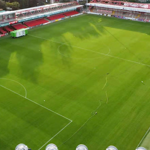 Meisen giá thấp cỏ nhân tạo cho sân chơi trong nhà ngoài trời cảnh quan sân vườn tất cả thảm xanh bóng đá bóng đá sân thể thao - Product Image 1