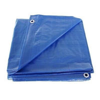 Rouleau de bâche en polyester tissé 100 %, imprimé uni, imperméable, laminé PE, pour usage en tente - Vente en gros