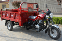Moto à essence 200CC Tricycle cargo à trois roues Boîte de vitesses automatique Moto cargo