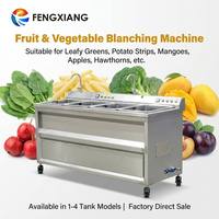 FENGXIANG 400-600kg/uur Commerciële Fruit- en Groenteblancheermachine 220V/380V Automatische Blancheringsmachine