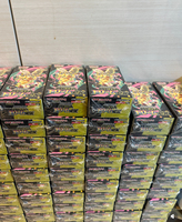 Coffret Cadeau Premium M2A Pokémon pour Collectionneurs d'Anime - Cartes à Collectionner Holo Rares - Collection de Cartes Japonaises