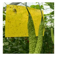 Piège collant en plastique jetable écologique et imperméable 25x30cm pour le contrôle des pucerons dans la maison et le jardin
