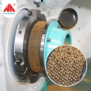 Machine à granulés à matrice annulaire compatible avec un <span class=keywords><strong>broyeur</strong></span> à <span class=keywords><strong>marteaux</strong></span>, un mélangeur et un refroidisseur à contre-courant, ligne de production complète - Product Image 6