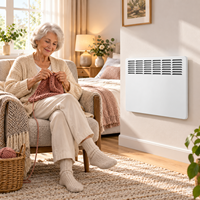 Fabricant OEM de radiateurs électriques en céramique à convection, intelligents, à haute efficacité énergétique, pour le chauffage des pièces, 500W, 1000W, 1500W, 2000W, 2500W