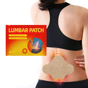 허리 통증 완화 패치-허리 근육통을위한 허브 열 석고 - Product Image 2