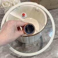 Mijoteuse de poulet en fonte de grande capacité de haute qualité Pot antiadhésif Micro autocuiseur avec couvercle en verre visualisé