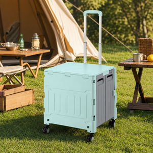 Chariot de courses pliable avec roues pour le marché - Product Image 1
