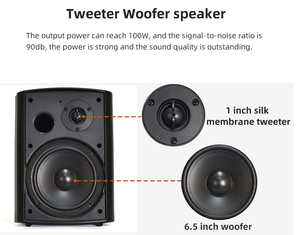 Wireless <b>Wall</b>-Mounted Stereo Speaker System for BT5.4 Dual-Band WiFi 100W Output <b>Metal</b> <b>Cabinet</b> Multi-Room Audio Wireless <b>Wall</b> Mo - Product Image 3
