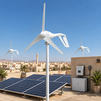 Générateur éolien domestique 100W pour toit, éolienne à axe horizontal pour usage résidentiel