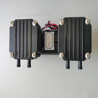 Nouvelle mini pompe à vide à diaphragme à double tête pour l'industrie de la beauté, alimentation électrique 12V/24V/220V, personnalisable OEM