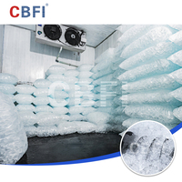 Vente directe d'usine CBFI en Chine de machines à glace tubulaire commerciales de 10 tonnes, équipées de filtres à eau et de machines d'emballage.