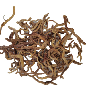 อาหารปลาแบบแห้ง ผลิตจากไส้เดือนดิน แช่แข็งและอบแห้ง ให้สารอาหารและโปรตีนสูง - Product Image 2