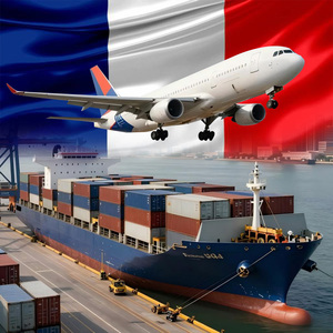 Transitarios Rápidos <span class=keywords><strong>y</strong></span> Económicos de China a Francia, París, Marsella, Transporte Marítimo por Avión, Servicios Logísticos - Product Image 1