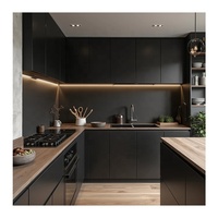 Nouveau design moderne de meuble de cuisine en contreplaqué noir Mdf Led avec îlot