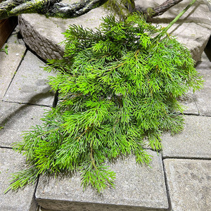 Ramas de árbol de Navidad ultra realistas de pino, ciprés, arborvitae y pino Kumara, con hojas y agujas de plástico artificial de primera calidad. - Product Image 3
