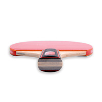 Ensemble de raquettes de tennis de table professionnelles légères personnalisées pour l'entraînement - Raquettes portables en gros