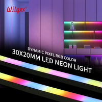 Bande Néon Flexible LED RVB en Silicone IP65 30x20mm 24V Adressable pour Jardin - Vente en Gros