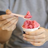 Biologisch Afbreekbaar Composteerbaar Berkenhout Wegwerp Vierkant Eindproef Schepje Yoghurt Lepel Ijs Lepel
