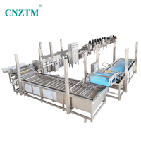 Ce 1000Kg/Hr Automatische Doorlopende Hogedrukreiniger Groente Fruit Bubbel Wassen Spoelen Drogen Sorteermachine Verwerkingslijn