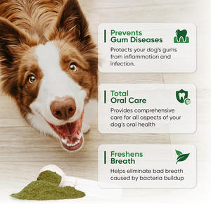 Agente per la Cura dei Denti degli Animali Domestici OEM/ODM - Cura Parodontale - Polvere Dentale per Animali Domestici per Rinfrescare l'Alito e Ridurre il Tartaro - Product Image 3
