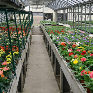 <span class=keywords><strong>Mini</strong></span> <span class=keywords><strong>serre</strong></span> de tunnel de jardin pour maison agricole à faible coût recouverte de PVC pour entrepôt/fleur/maison préfabriquée - Product Image 6