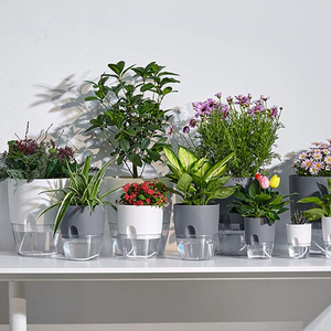 Creative Box Box fioriera con sistema <span class=keywords><strong>di</strong></span> auto irrigazione per balcone fiori fragole e verdure a foglia verde - Product Image 3