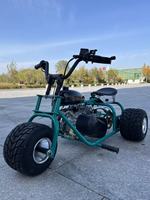 Kart à pédales tout-terrain modèle d'usine chinoise, vitesse maximale 50 km/h, 212cc, quatre temps, mini kart avec roues en aluminium poli