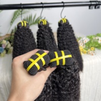 Lot de Cheveux Humains Naturels Vietnamiens de Grade 12A, Alignés dans le Sens de la Cuticule, Afro Kinky 4C
