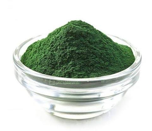 Poudre d'algues vertes biologiques Chlorella Vulgaris de qualité alimentaire, ingrédient superalimentaire naturel premium pour compléments alimentaires et smoothies - Product Image 1