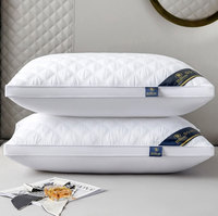 Oreiller Hilton à Bas Prix, Oreiller de Lit à Double Bordure 800g, Remplissage Velours Plume, Oreiller Cervical pour Dormir