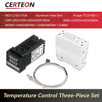 Four 110V 12V Dissipateur Montage Panneau avec Thermocouple Type K Relais SSR et REX C100 Régulateur de Température Numérique