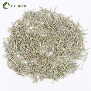 Wholesales Ingredients Spices Natural Dried Rosemary Leaves Healthy Spices Herbs Rosemary Dried Spices Herb