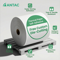 Rouleau de papier DT blanc 70g pour transfert thermique industriel Antac Label, adhésif thermofusible, taille personnalisée, forte adhérence, étiquettes de mode