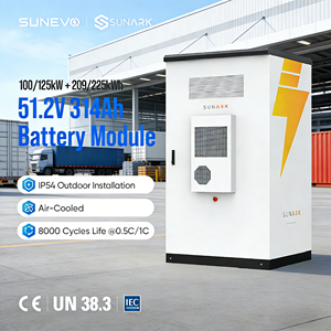 Système de stockage d'énergie Sunark BESS adapté, batterie 125 kW, 100 kWh, 200 kWh, 300 kWh, armoire extérieure pour la sauvegarde industrielle - Product Image 1