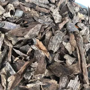 Chen xiang albero di incenso in legno di agarwood naturale di alta qualità Aquilariae legno di Lignum per incenso