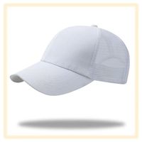 Gorra de Béisbol de Lona Impermeable 100% Poliéster al por Mayor, Secado Rápido, Logotipo de Polo, Alta Calidad, Visera Curva, Uso en Exteriores