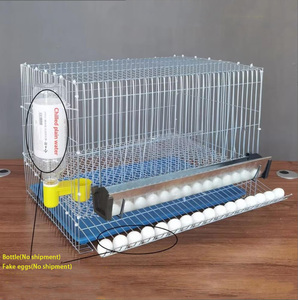 Gabbia Antirottura per Galline Ovaiole da Giardino, Gabbia per Allevamento Polli in Filo Zincato, Gabbia per Pappagalli e Quaglie - Product Image 5