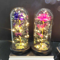 Rose éternelle sous cloche en verre avec feuilles d'or – Cadeau d'anniversaire, Saint-Valentin, Fête des Mères, Décoration intérieure