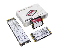 Kit SSD Raspberry Pi5 avec carte M.2 HAT AI, carte d'extension de disque SSD originale, disque dur NVMe M.2 256 Go pour développement B