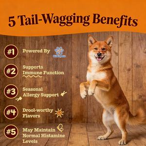 미국 EU 핫세일 강아지 가려움 완화 및 핫스팟 치료용 피부 알레르기 츄어블, 가려움 방지 츄어블, 관절 건강 및 피부 & 털 관리 지원 - Product Image 2