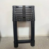 Échelle latérale rétractable à une touche pour usage domestique, échelle pour porte-bagages, échelle de camping extérieure pour véhicule
