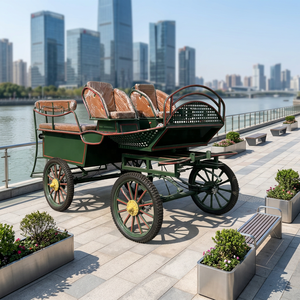Chariot de marathon à quatre roues vert pour 6 passagers, structure tout-terrain durable pour les visites de sites touristiques et l'entraînement de chevaux de marathon - Product Image 1