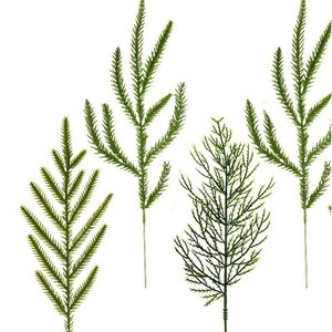 Ruyin Artificial Pine Needle Decorations Soft Rubber Christmas <b>Ornaments</b> 120cm For Holiday Decoration - Product Image 1