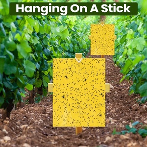 Cao hiệu quả ngoài trời Vườn Orchard trái cây Fly double side keo mạnh mẽ bẫy với 12 gói - Product Image 4