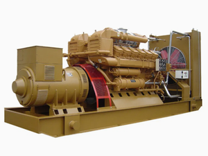 Générateur au gaz naturel GPL 60Hz 20kW 30kW 50kW 120/240V pour le marché nord-américain - Product Image 2